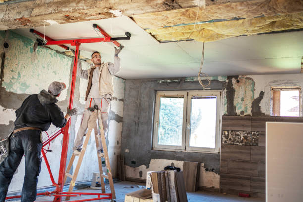 Best Attic Insulation Installation  in Williamson, WV