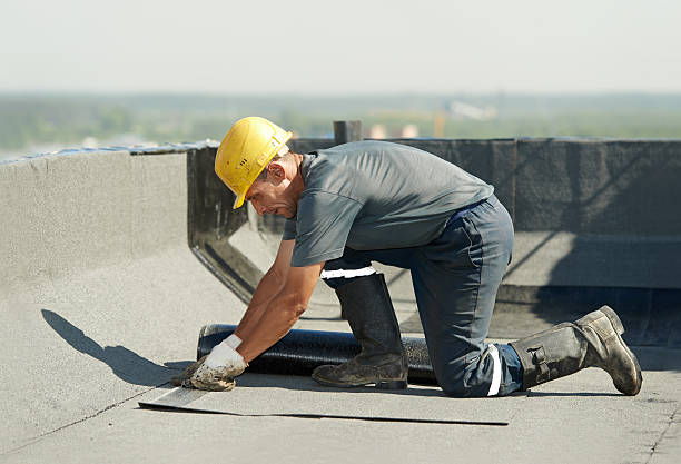Best Insulation Replacement Services  in Williamson, WV